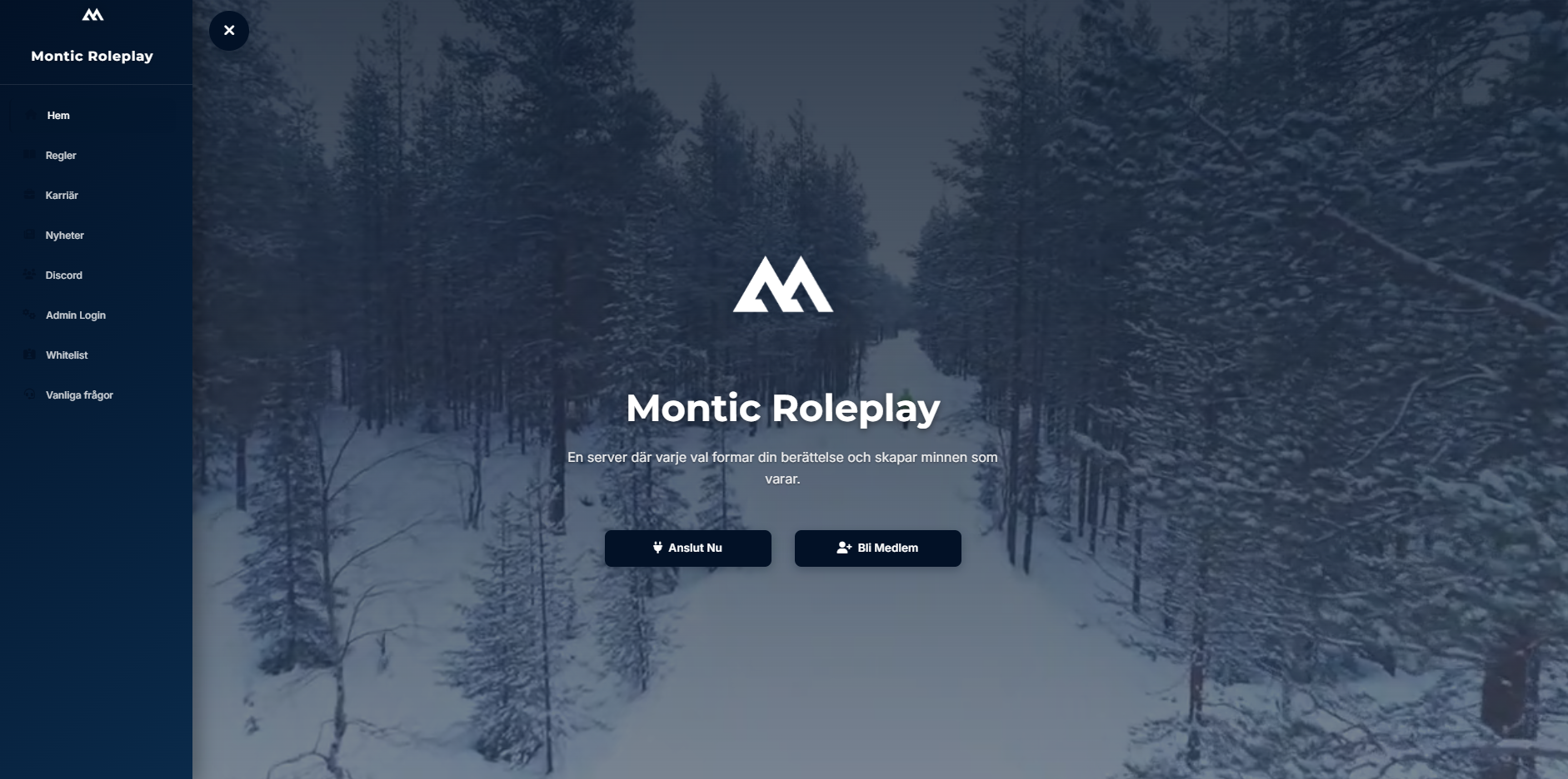 Montic Hemsida Template